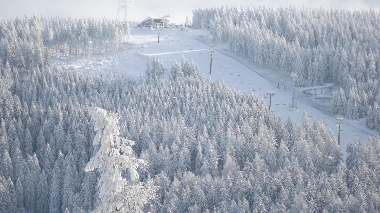 Premium-Ferienwohnungen Bergblick Im Haus Hopfe Goslar Exteriör bild