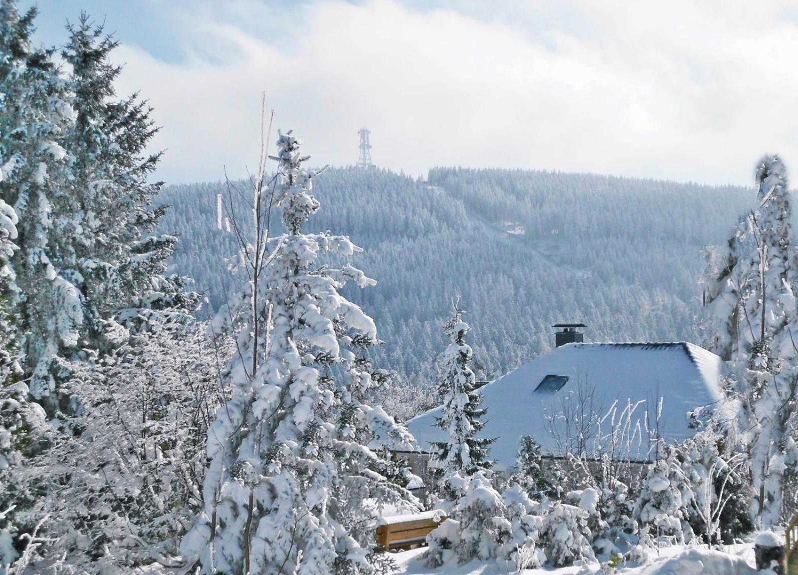 Premium-Ferienwohnungen Bergblick Im Haus Hopfe Goslar Exteriör bild