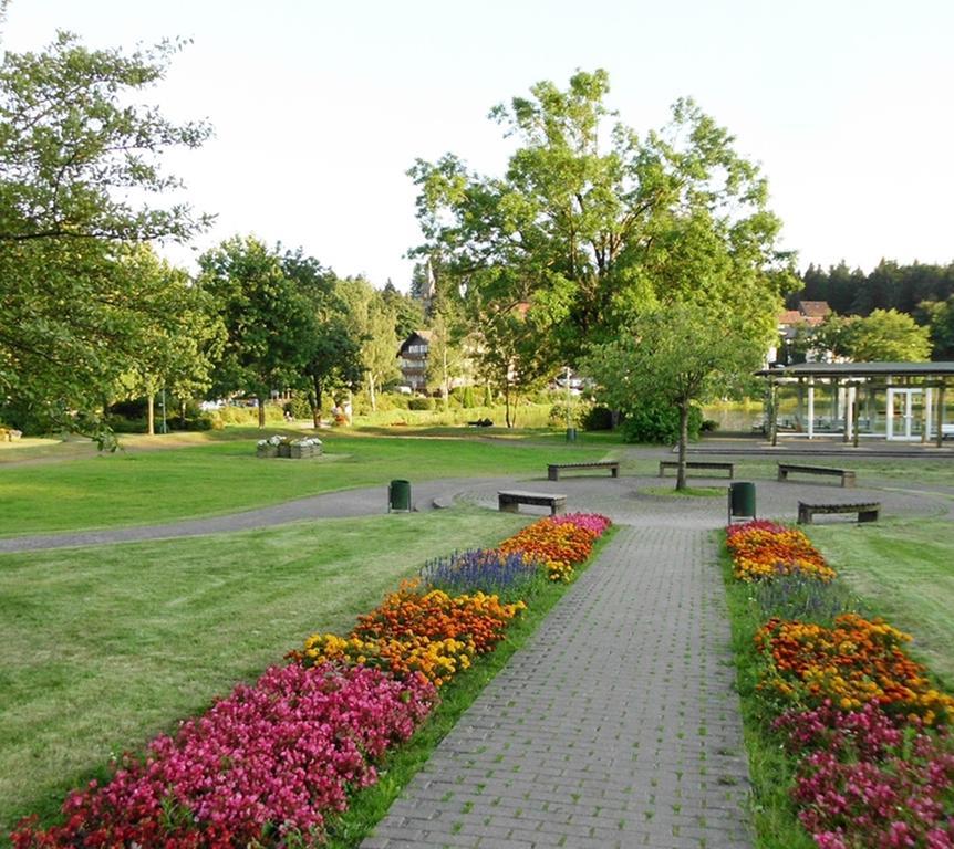 Premium-Ferienwohnungen Bergblick Im Haus Hopfe Goslar Exteriör bild