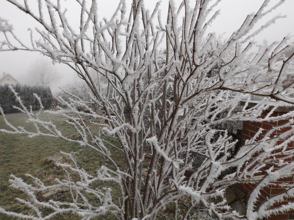 Premium-Ferienwohnungen Bergblick Im Haus Hopfe Goslar Exteriör bild