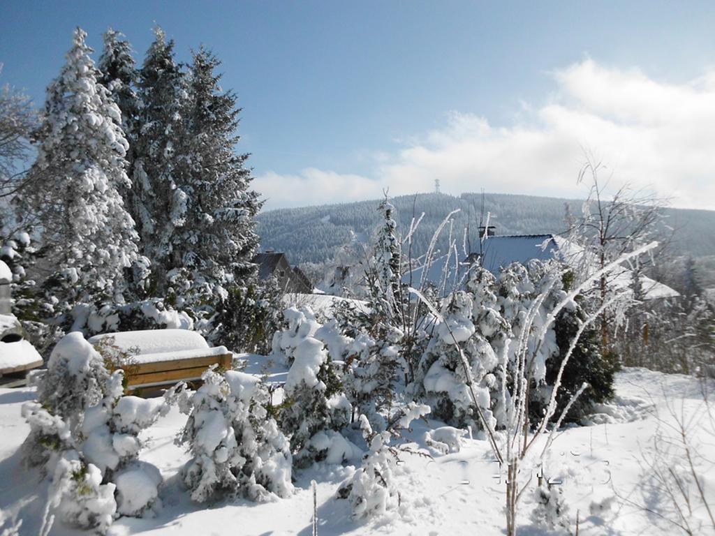 Premium-Ferienwohnungen Bergblick Im Haus Hopfe Goslar Exteriör bild