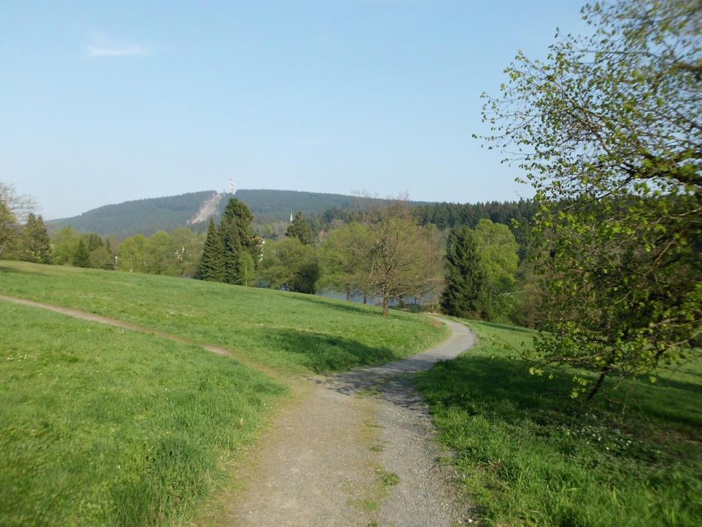 Premium-Ferienwohnungen Bergblick Im Haus Hopfe Goslar Exteriör bild