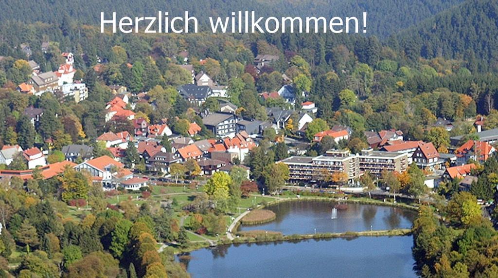 Premium-Ferienwohnungen Bergblick Im Haus Hopfe Goslar Exteriör bild